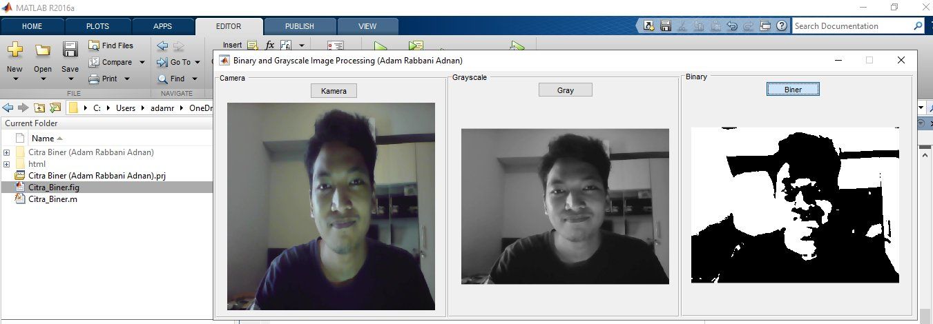 Image Processing in MATLAB